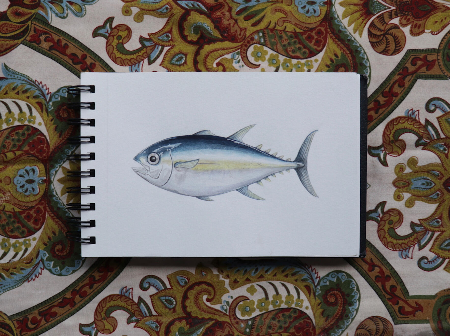 Tuna fish, 2020. Watercolour on paper 14Ă—19cm